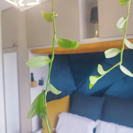 Nook With Stadium Vista Apartman