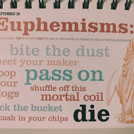 Nook With Stadium Vista アパート *