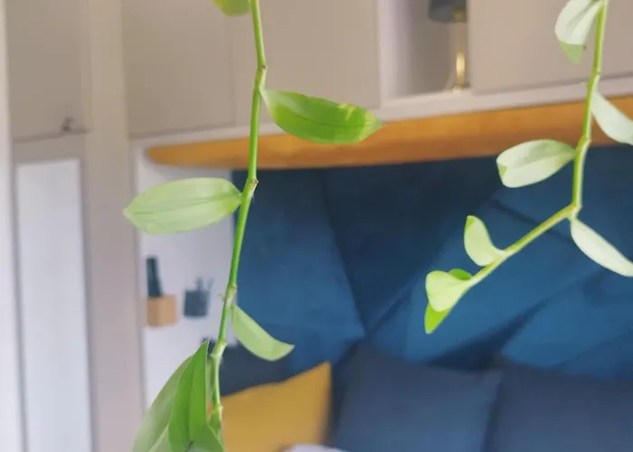 Nook With Stadium Vista 아파트